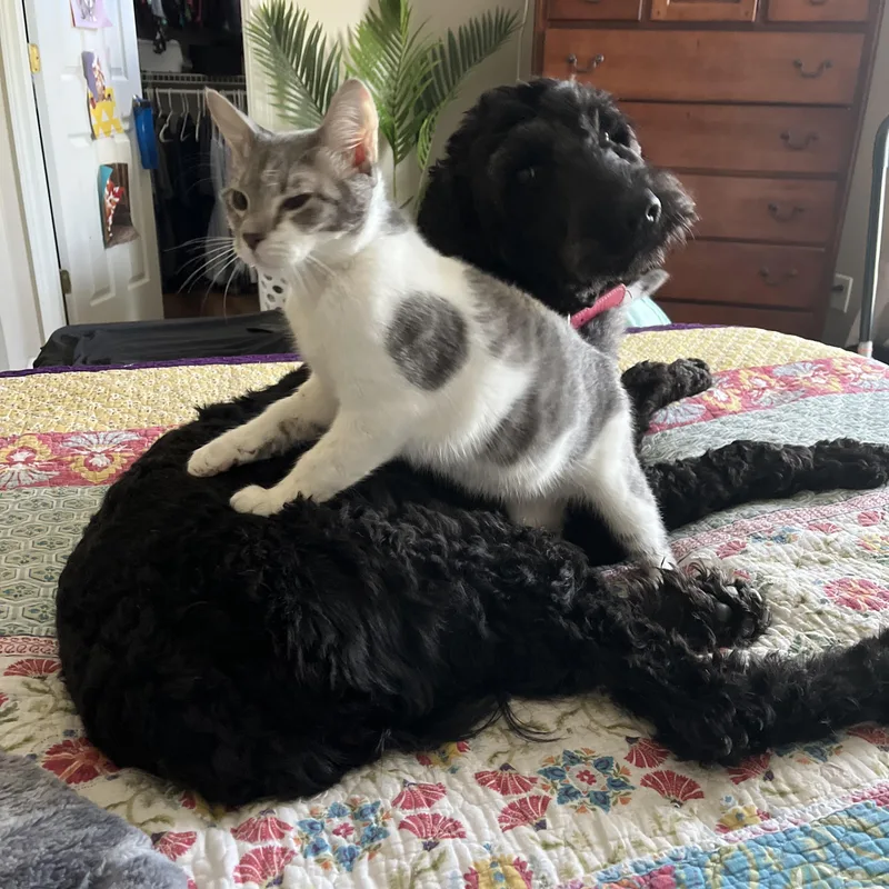 Sander&sailor thumbnail 3