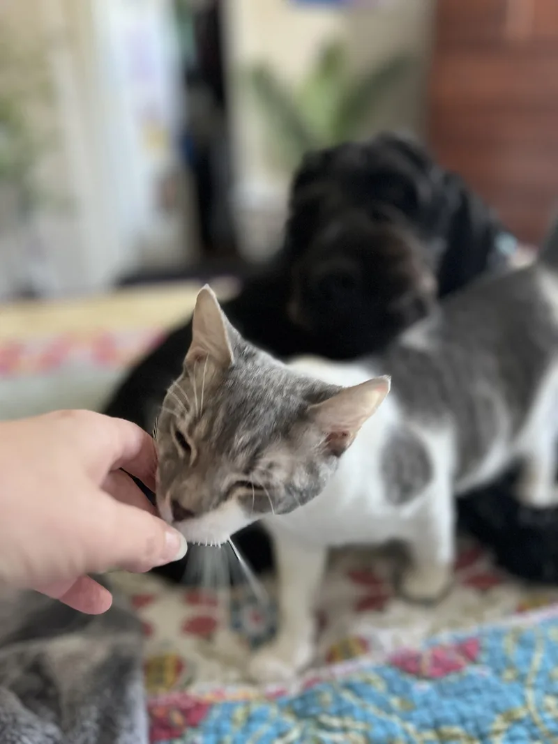 Sander&sailor thumbnail 4