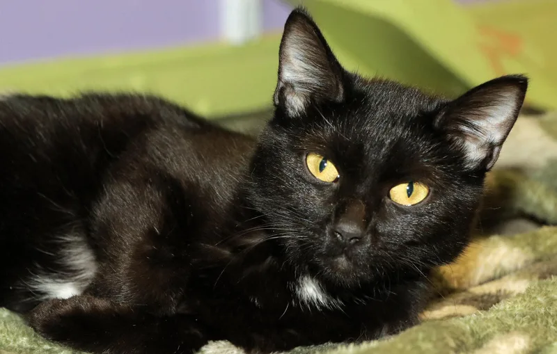 Espresso thumbnail 2