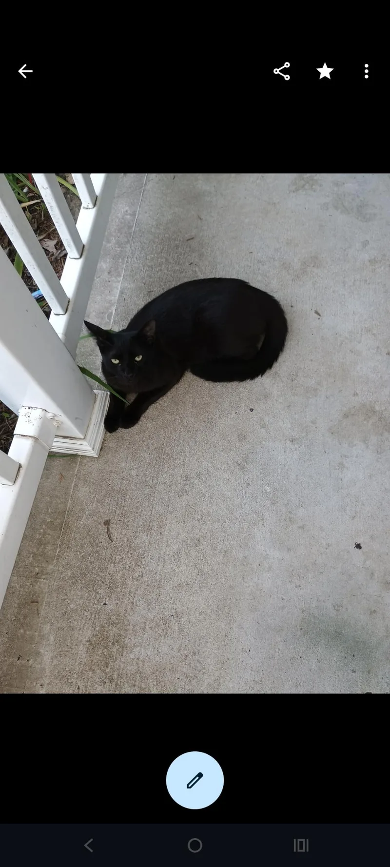 Biebi blacky and CC thumbnail 4