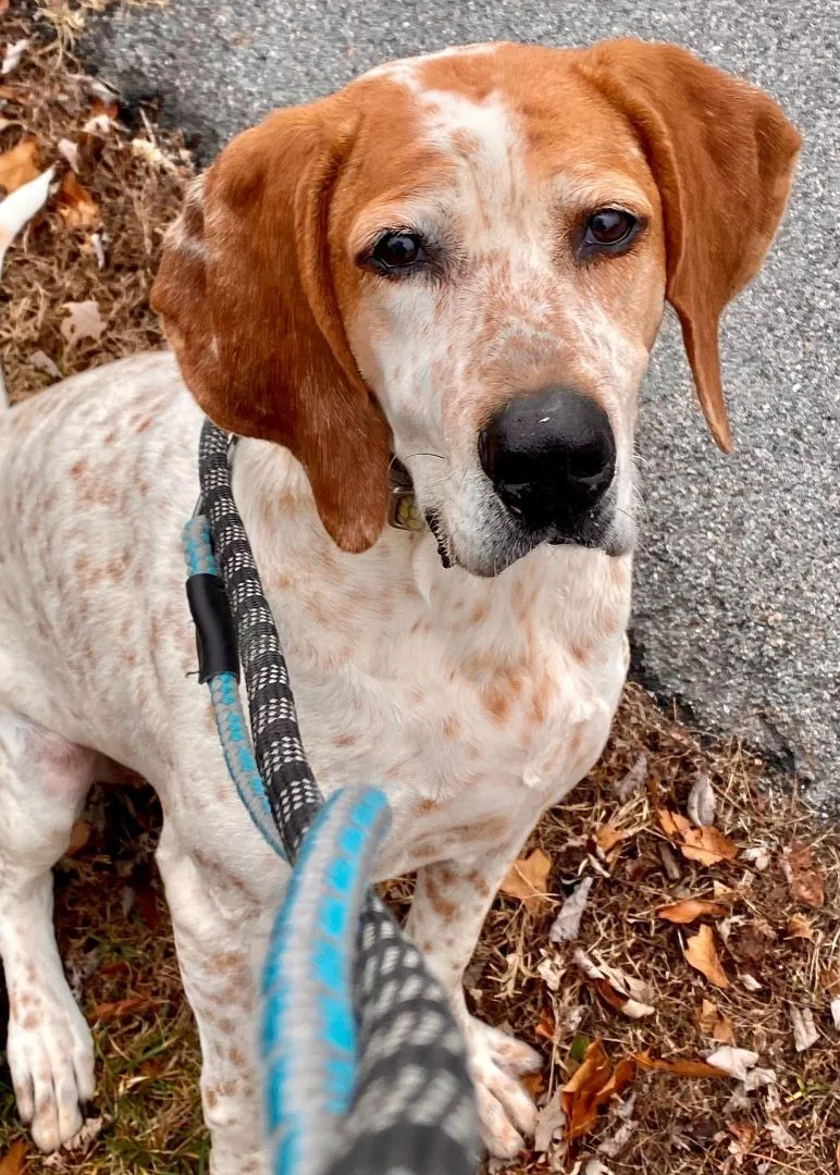 Sweet Tayda thumbnail 3