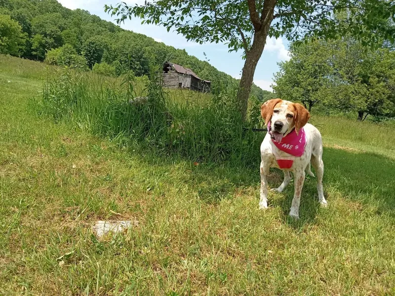 Sweet Tayda thumbnail 5