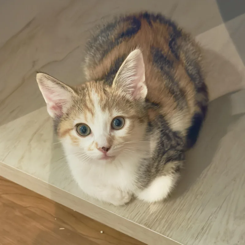 Jennifer thumbnail 2