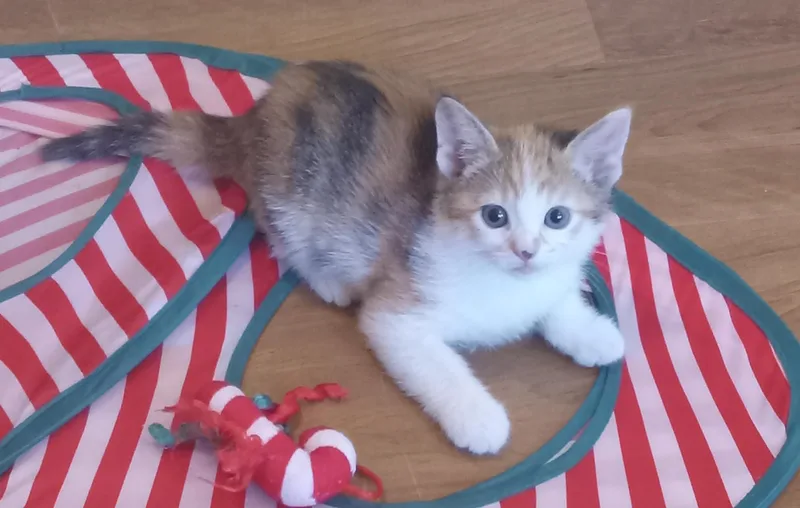 Jennifer thumbnail 3