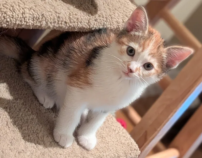 Jennifer thumbnail 4