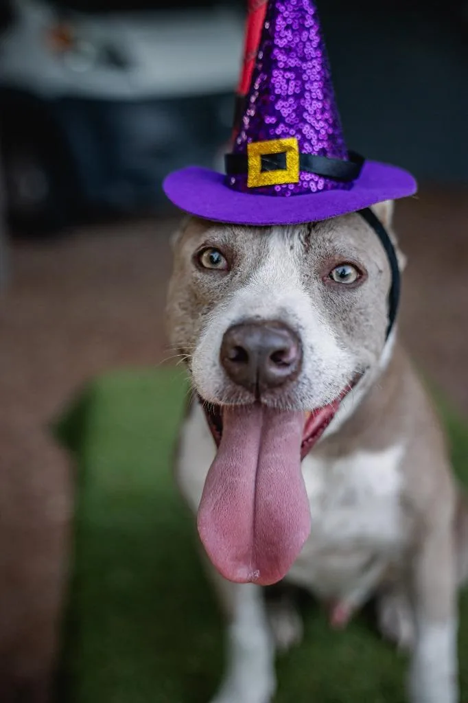 Zeke thumbnail 2