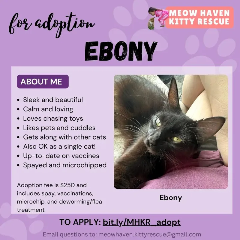 Ebony
