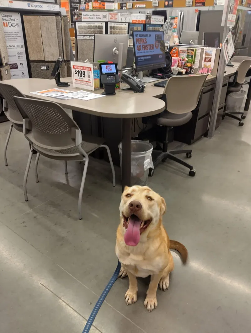 Mr. Butters thumbnail 2