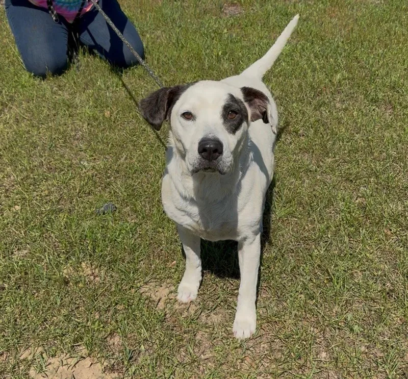 Layla Dixon thumbnail 2