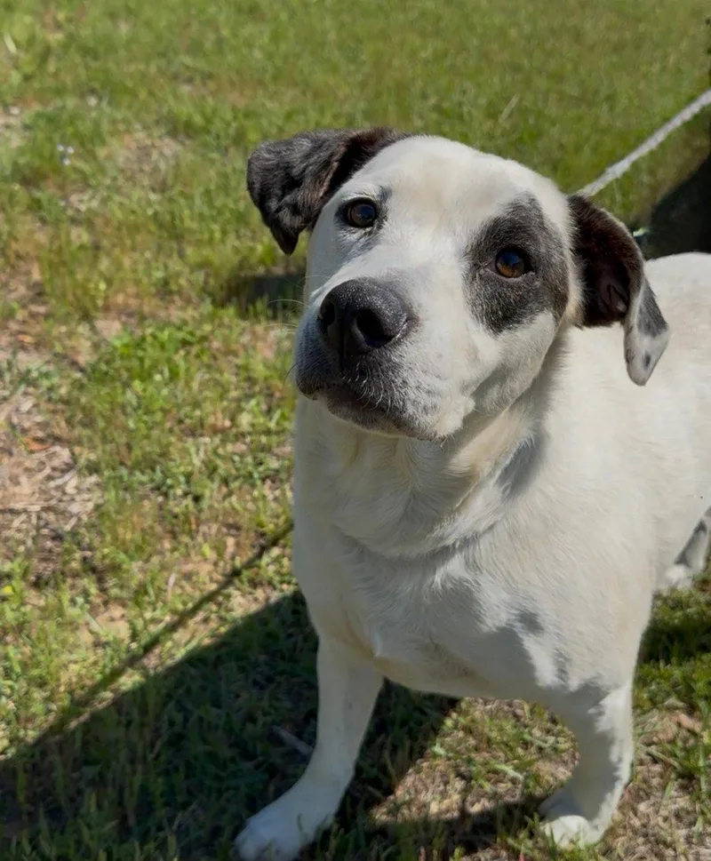 Layla Dixon thumbnail 3