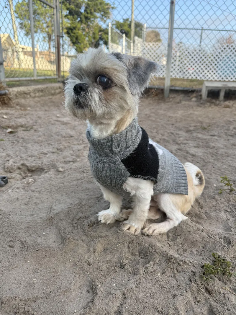 Mcgucket thumbnail 2