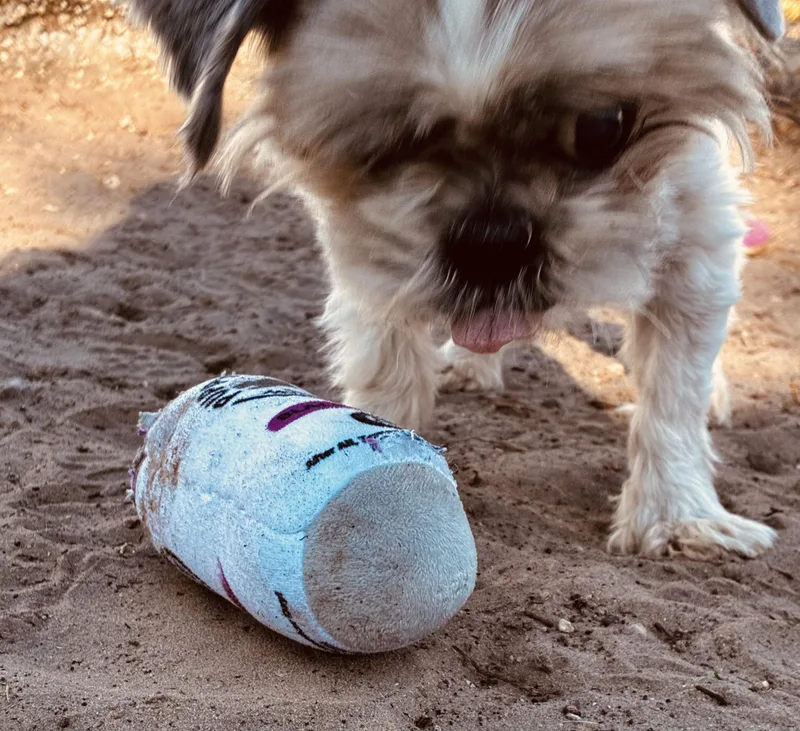 Mcgucket thumbnail 3