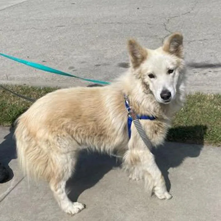 Don Juan thumbnail 3