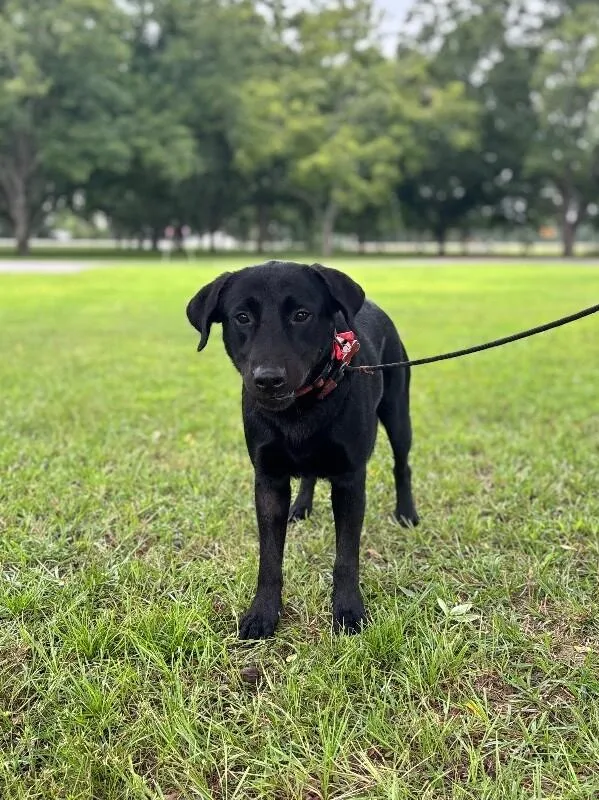Sam