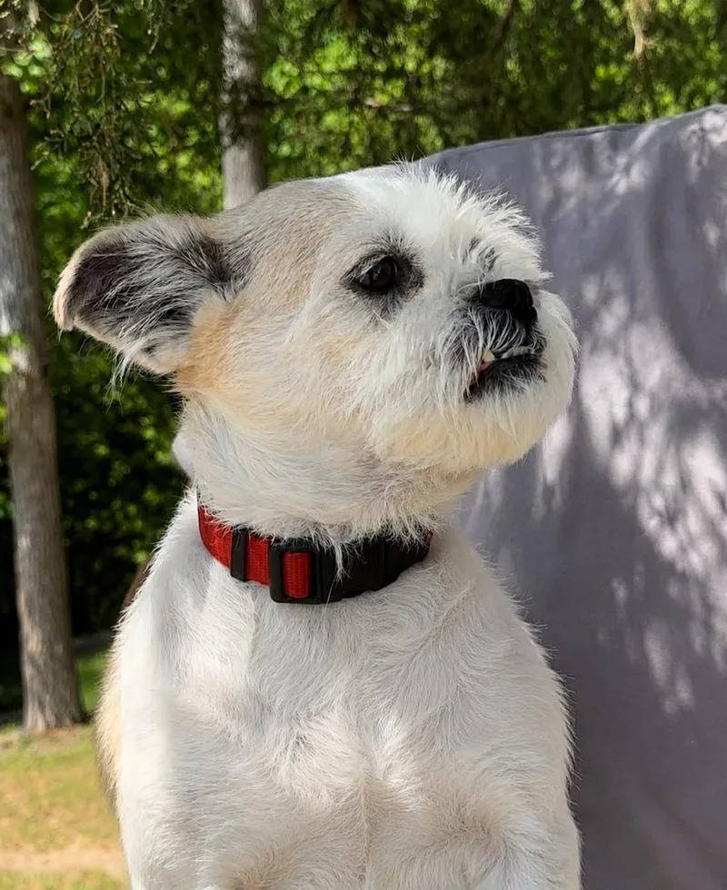 Sophie Jo thumbnail 3