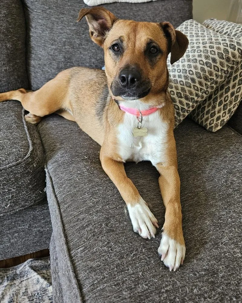 Millie Magnolia