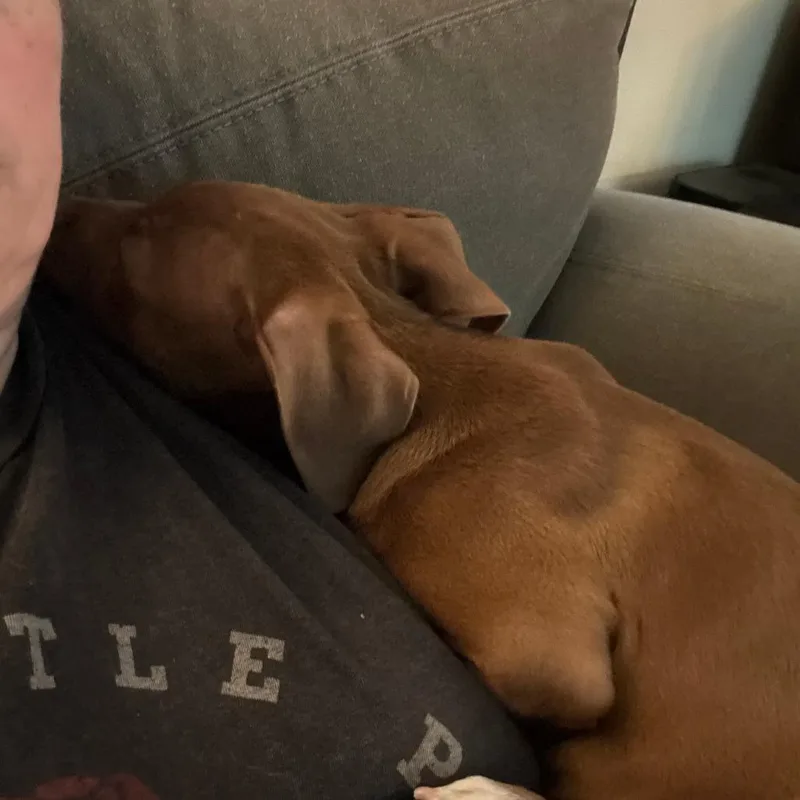 Hank D thumbnail 2