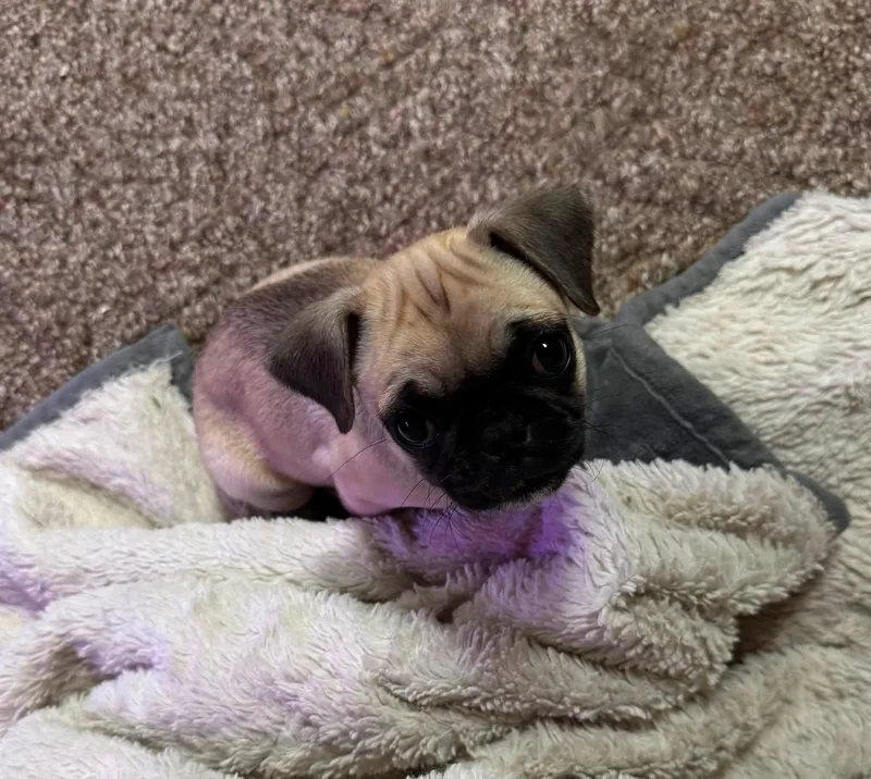 Emma thumbnail 4