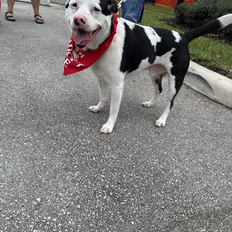 Max