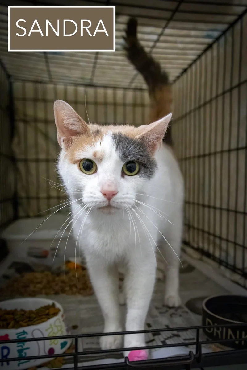 Sandra