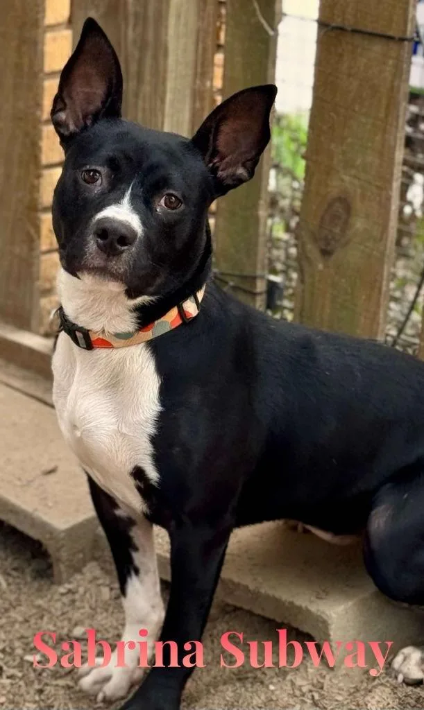 Sabrina Subway