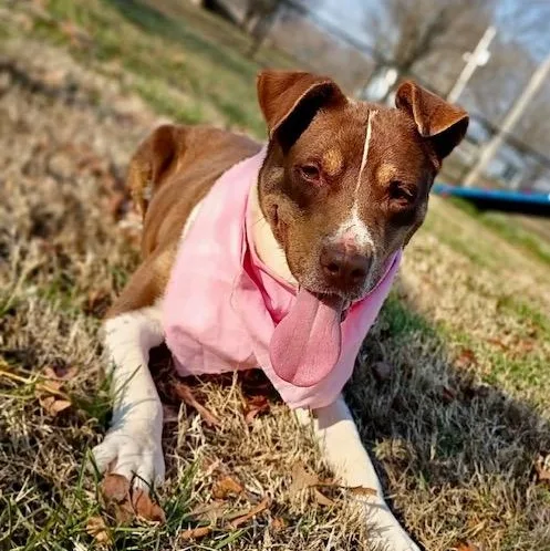 Mitzi  All New thumbnail 3