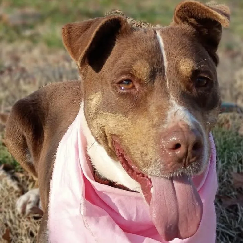 Mitzi  All New thumbnail 5