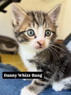 Danny WhizzBang thumbnail 4