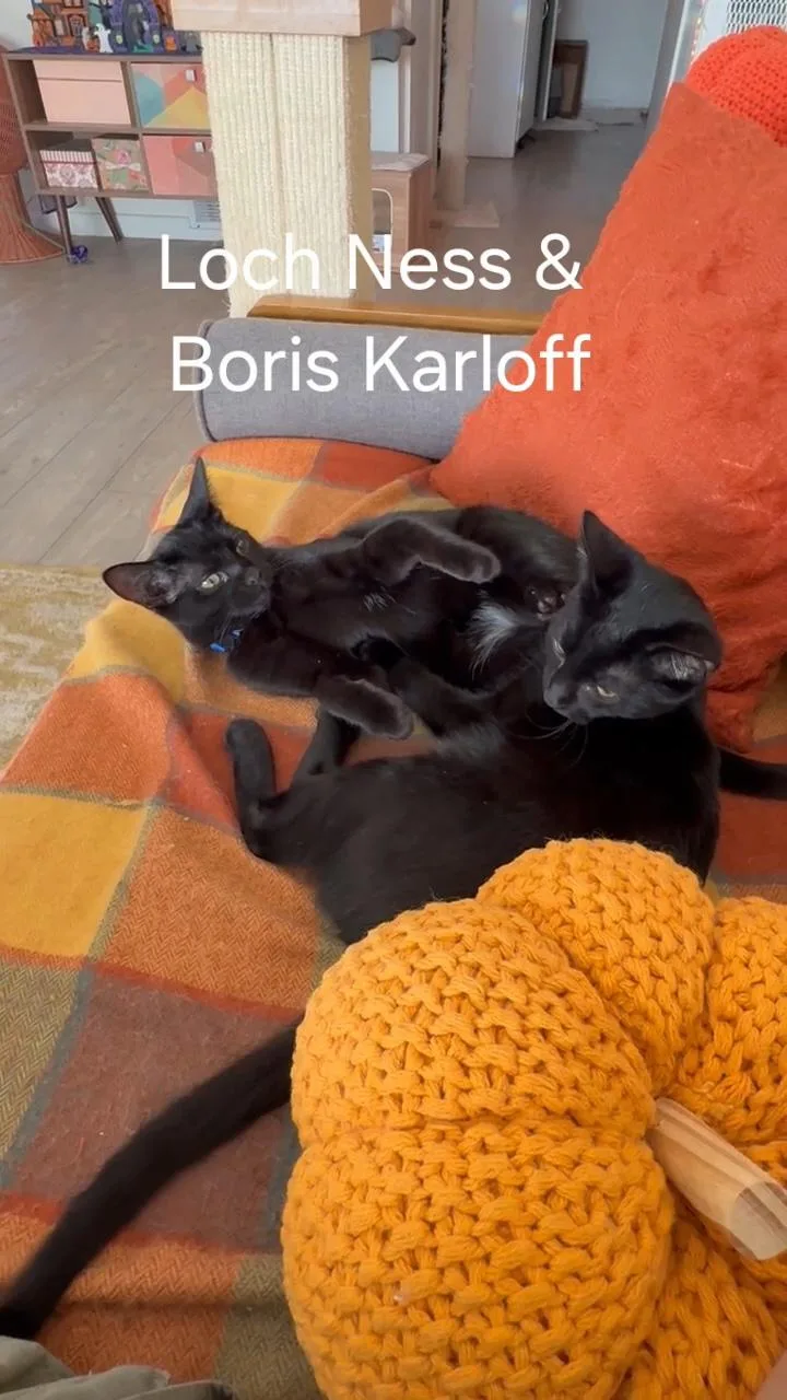 Loch Ness Aka Nessie