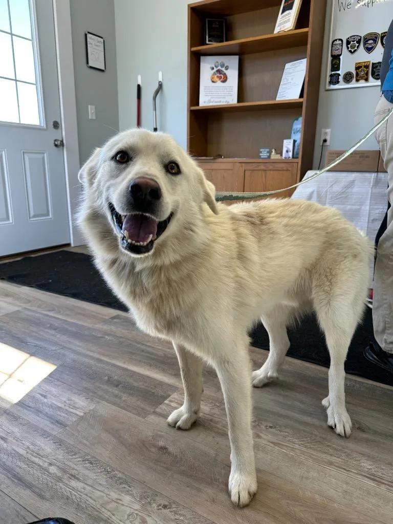 John Snow thumbnail 2