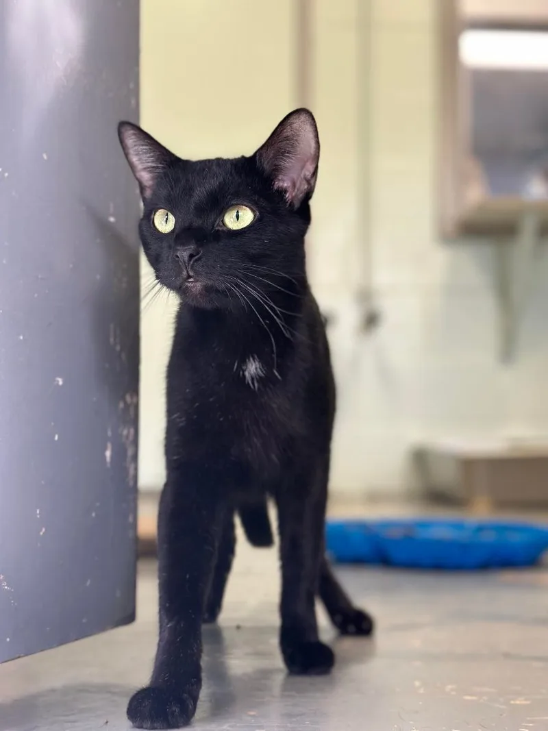 Winifred thumbnail 2