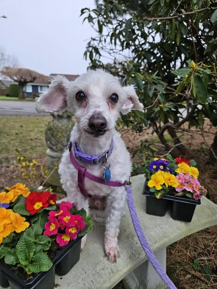 Eggnog Aka Eddie thumbnail 2