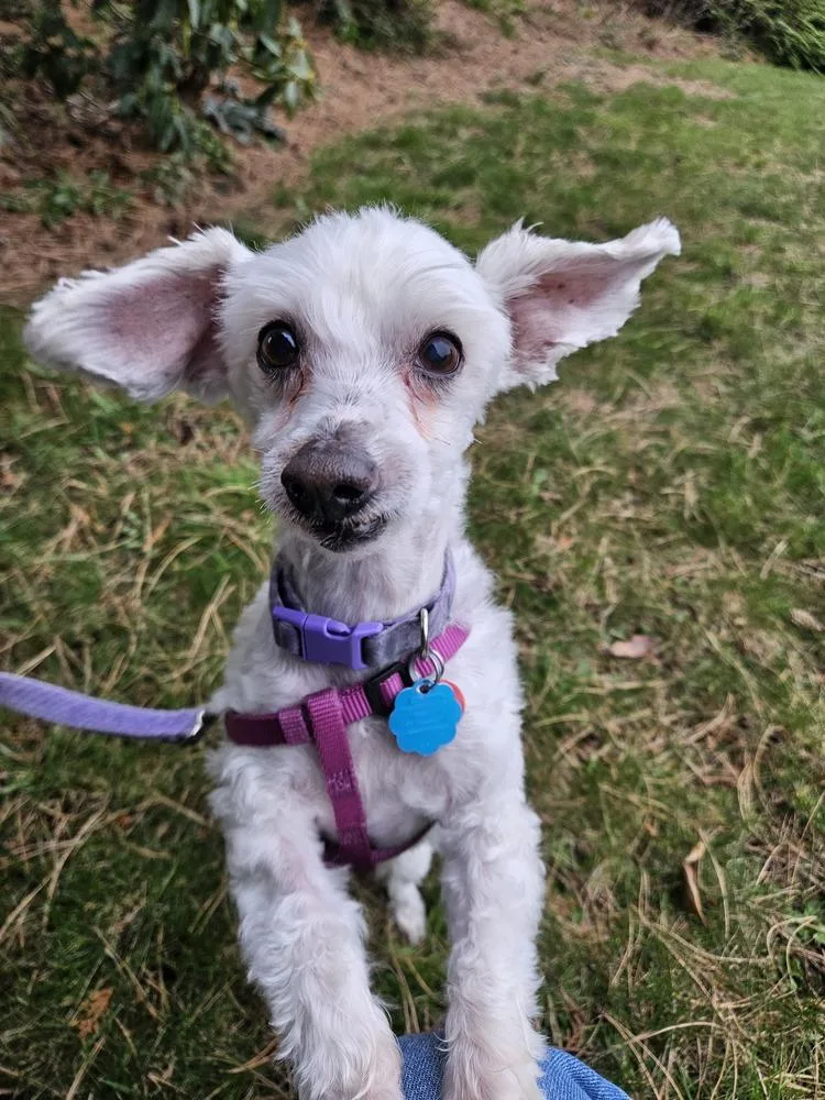 Eggnog Aka Eddie thumbnail 3