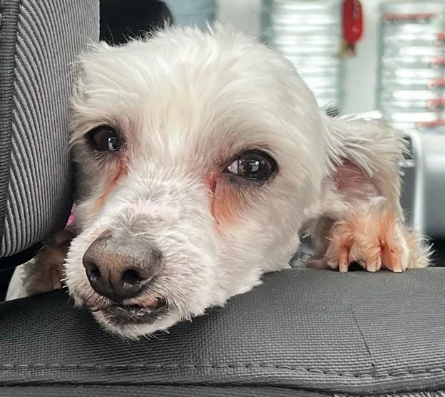 Eggnog Aka Eddie thumbnail 6