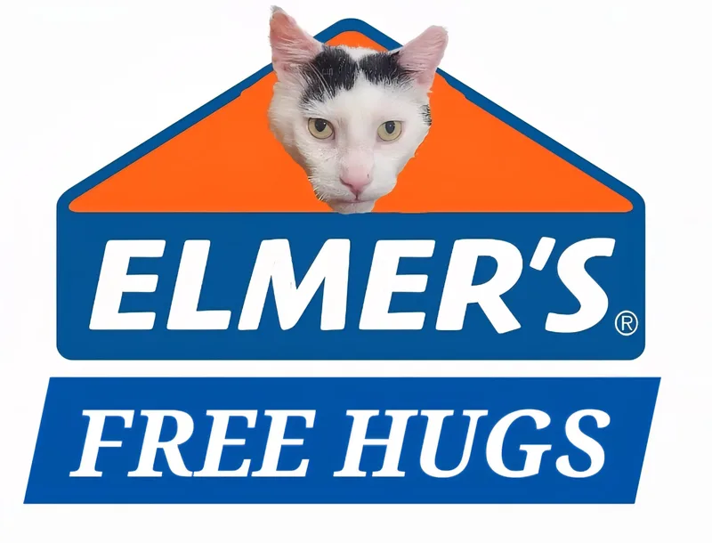 Elmerlap Cat! Fiv+ thumbnail 2