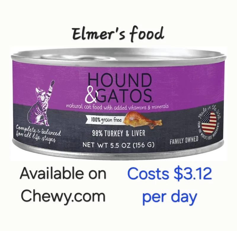 Elmerlap Cat! Fiv+ thumbnail 5