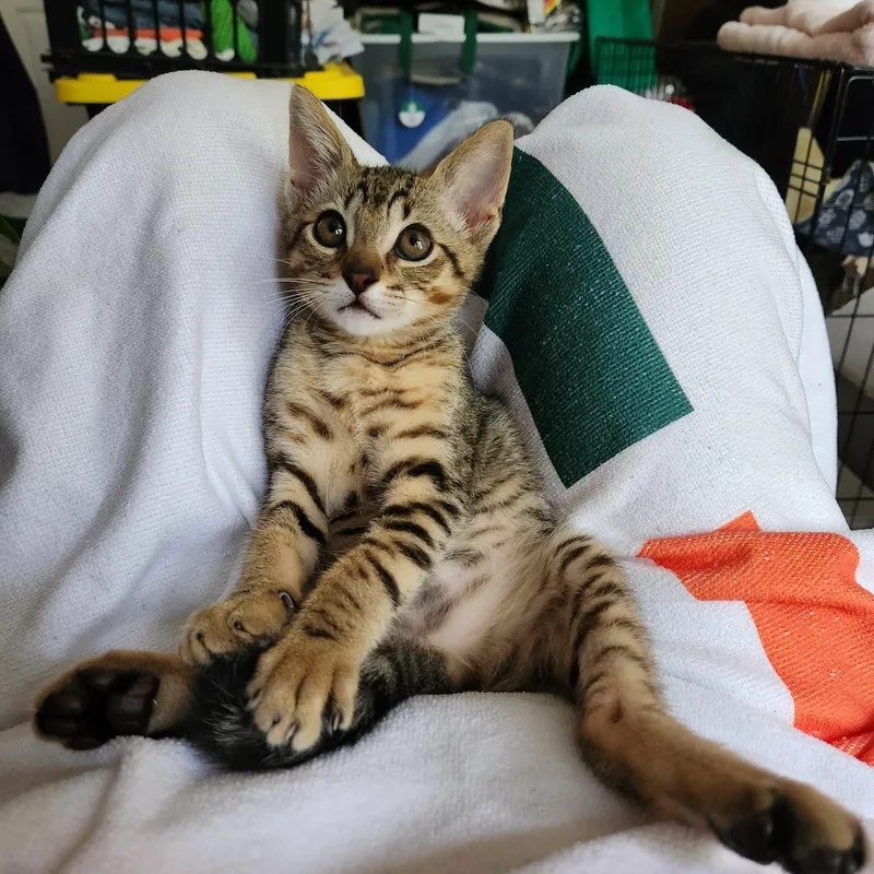 Kiki and Louis