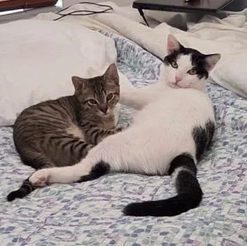 Kiki and Louis thumbnail 3