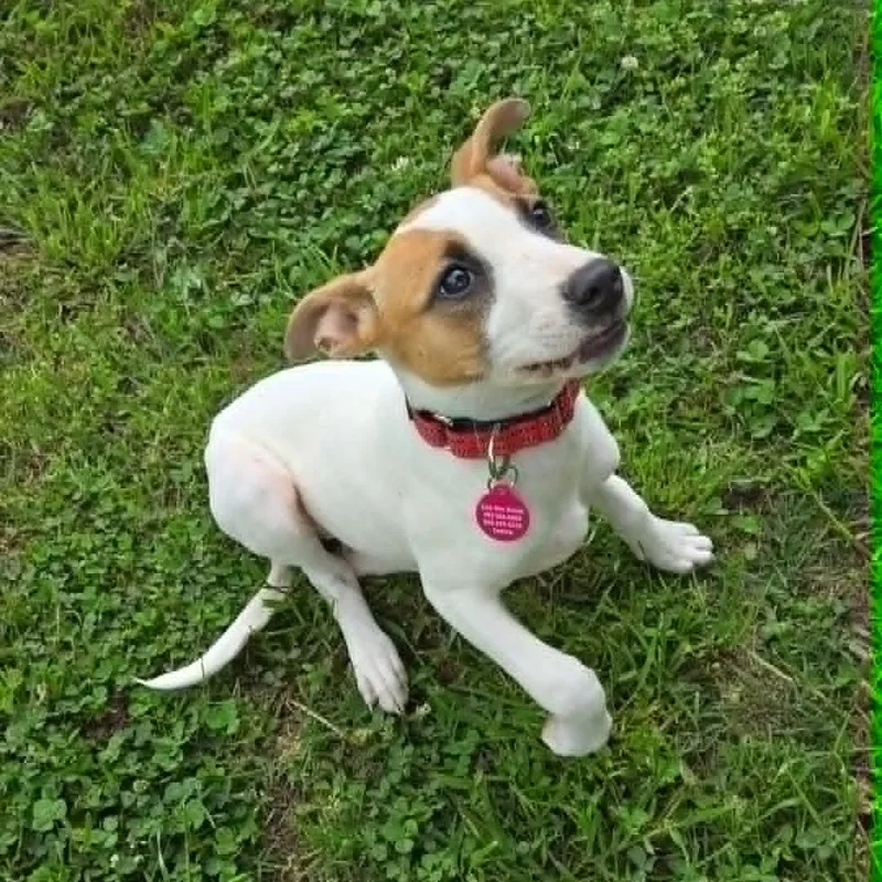 Maisy thumbnail 2