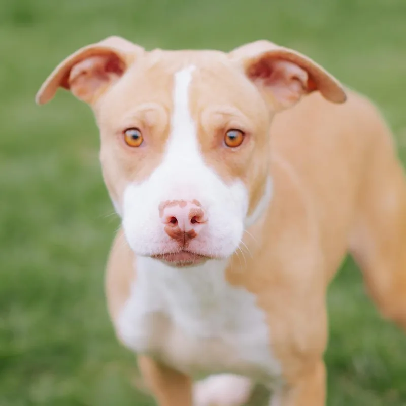 Nurse Dana thumbnail 2