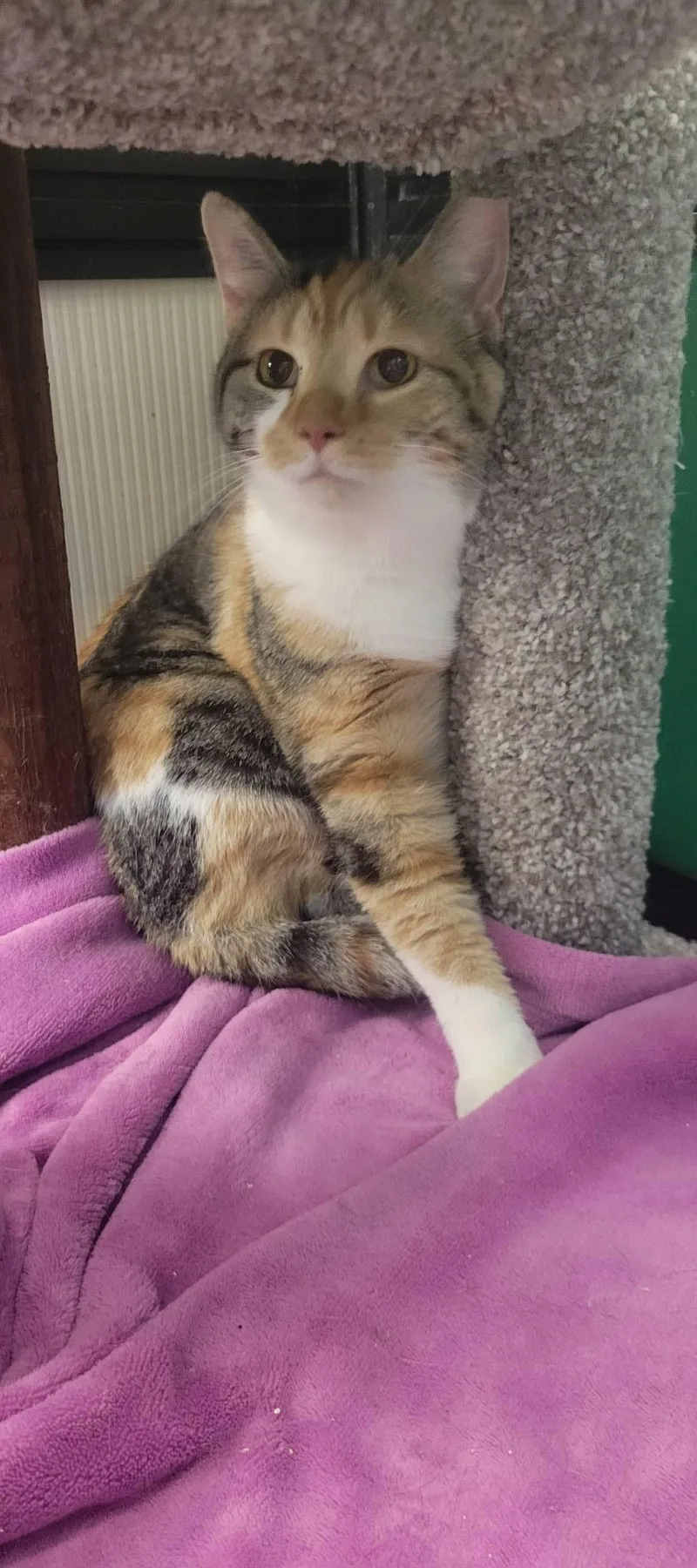 Sydney & Skittles thumbnail 2