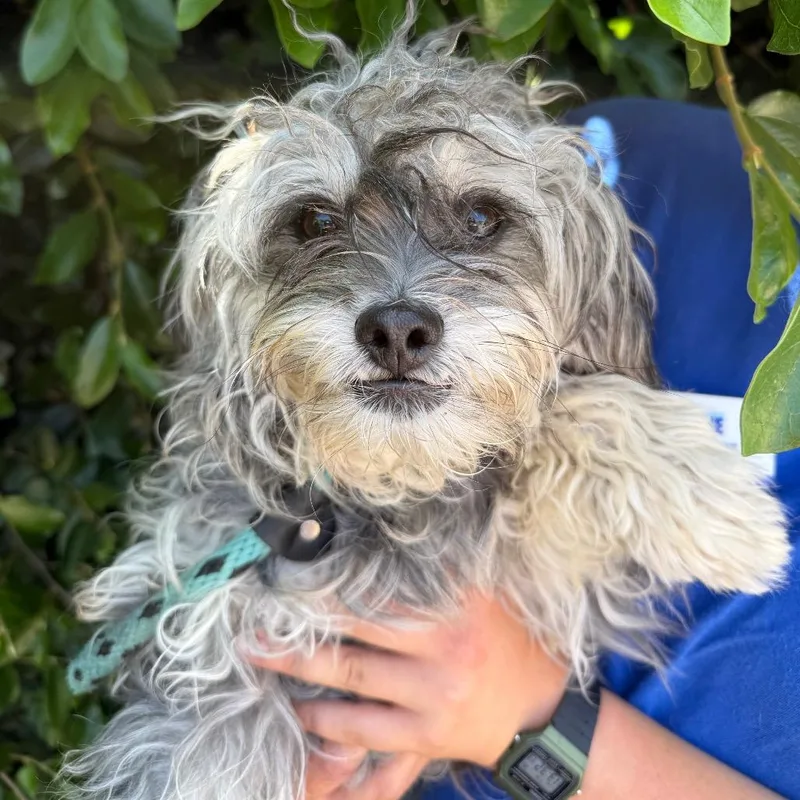 Sebastian thumbnail 2