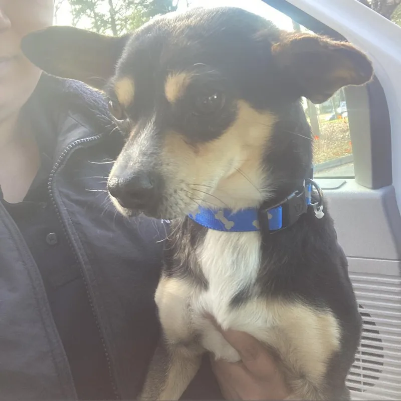 Ol' Saint Nick thumbnail 3