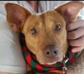 Sweetheart thumbnail 2