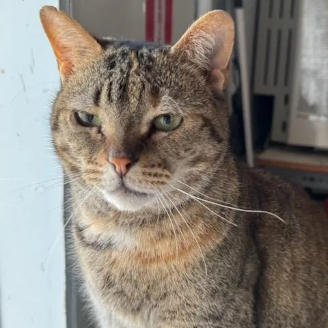 Fiona  Felv+ thumbnail 3