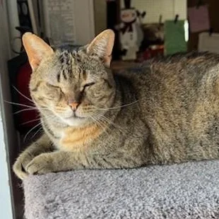 Fiona  Felv+ thumbnail 4