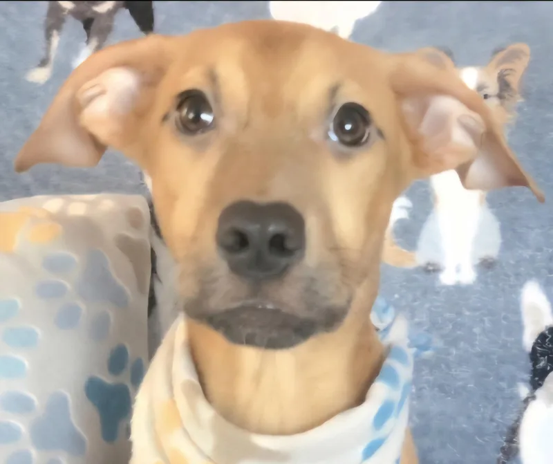 Tyson "it's Snuggle Time!"