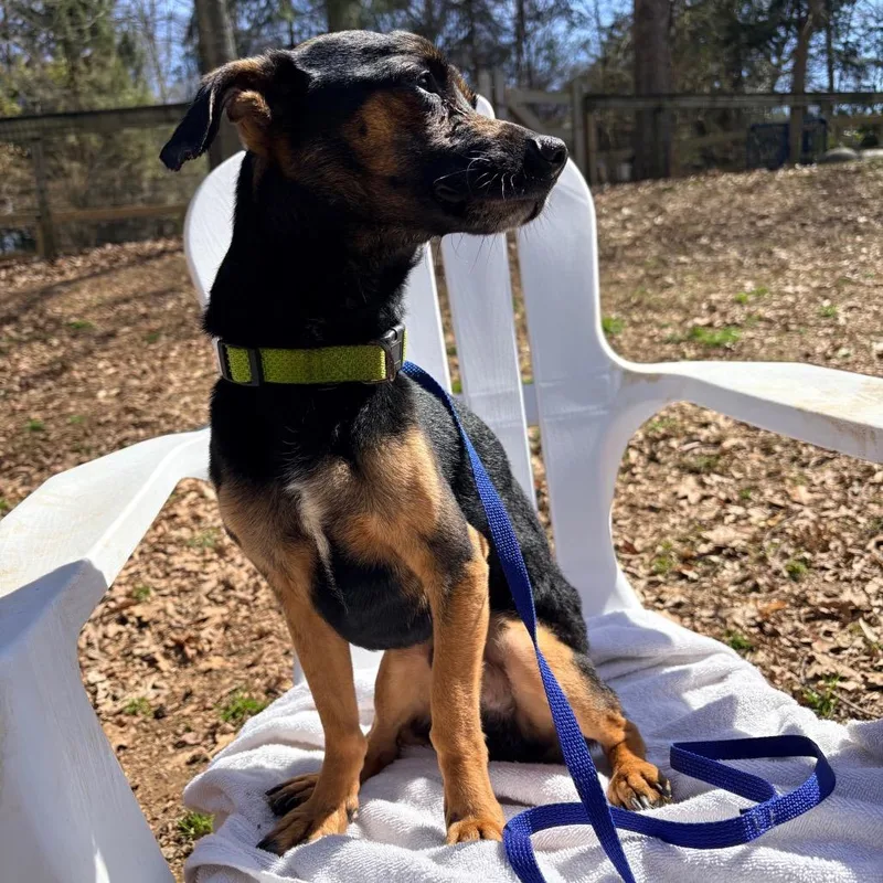 Mr Mister thumbnail 2