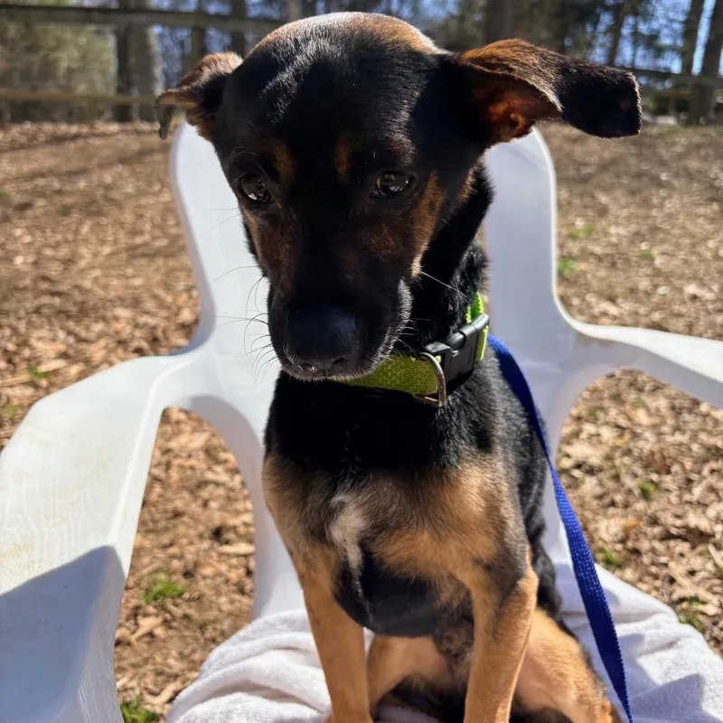 Mr Mister thumbnail 3