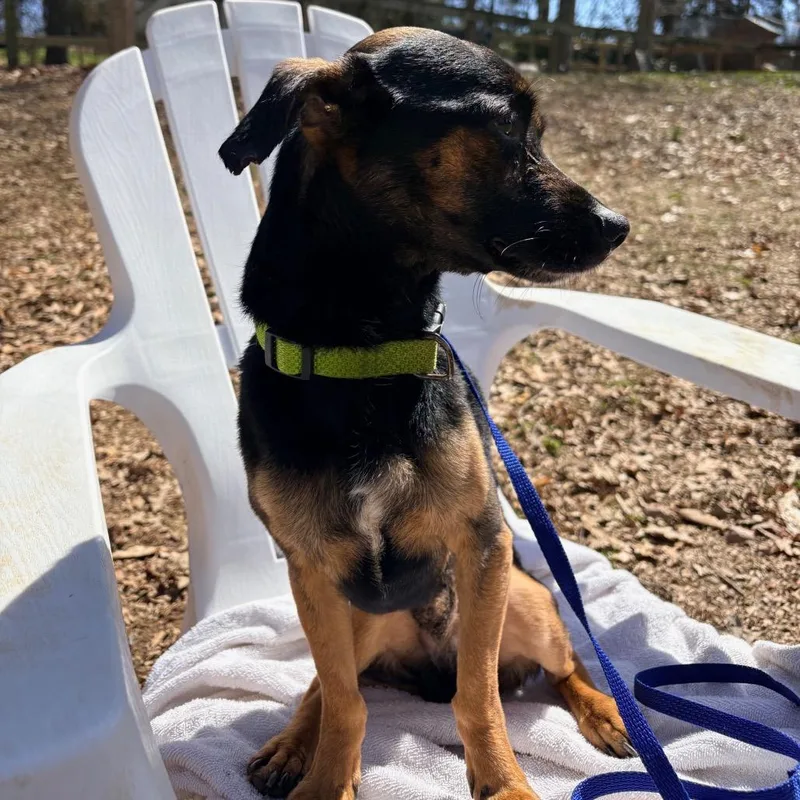 Mr Mister thumbnail 4